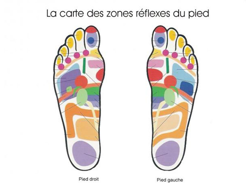 carte des zones réflexes du pied