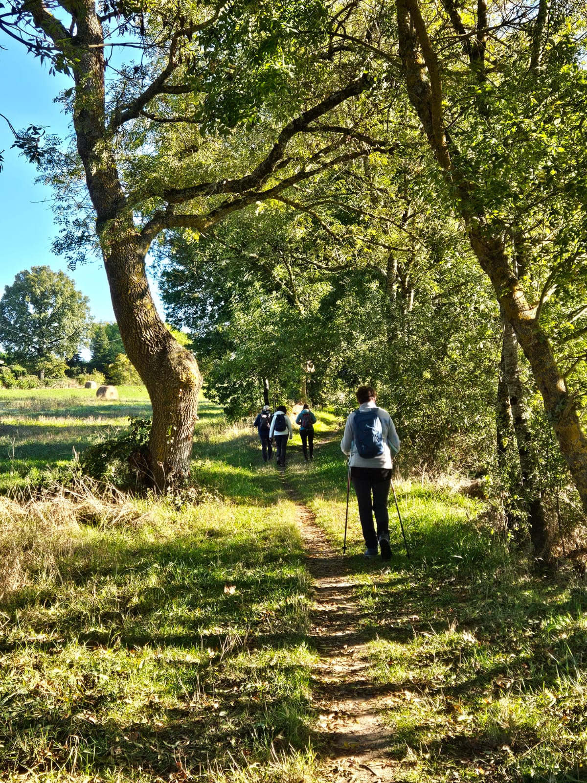 Randonnée dans le Gers durant le Week-end Det(OX)ente organisé par Fabienne RAFFERMI, naturopathe à Albi, Tarn 81. Au programme: Activités nature : randonnées (de 2h30 env., avec du dénivelé pour certaines marches donc prévoyez de transpirer, ce qui est essentiel pour la détox!) Un atelier cuisine pour mieux comprendre les bases de l’alimentation santé et expérimenter ce qui nous fait bien avec des saveurs différentes. Des repas sains et detox: je cuisine cru et cuit , en restant dans l’esprit de la physiologie naturopathique. L’alimentation est 100% bio, végétarienne, sans gluten et sans lactose. Des conférences, des soirées relaxantes sur le thème du nettoyage du corps et de l’esprit! Tarifs: 415 € (tout compris*)