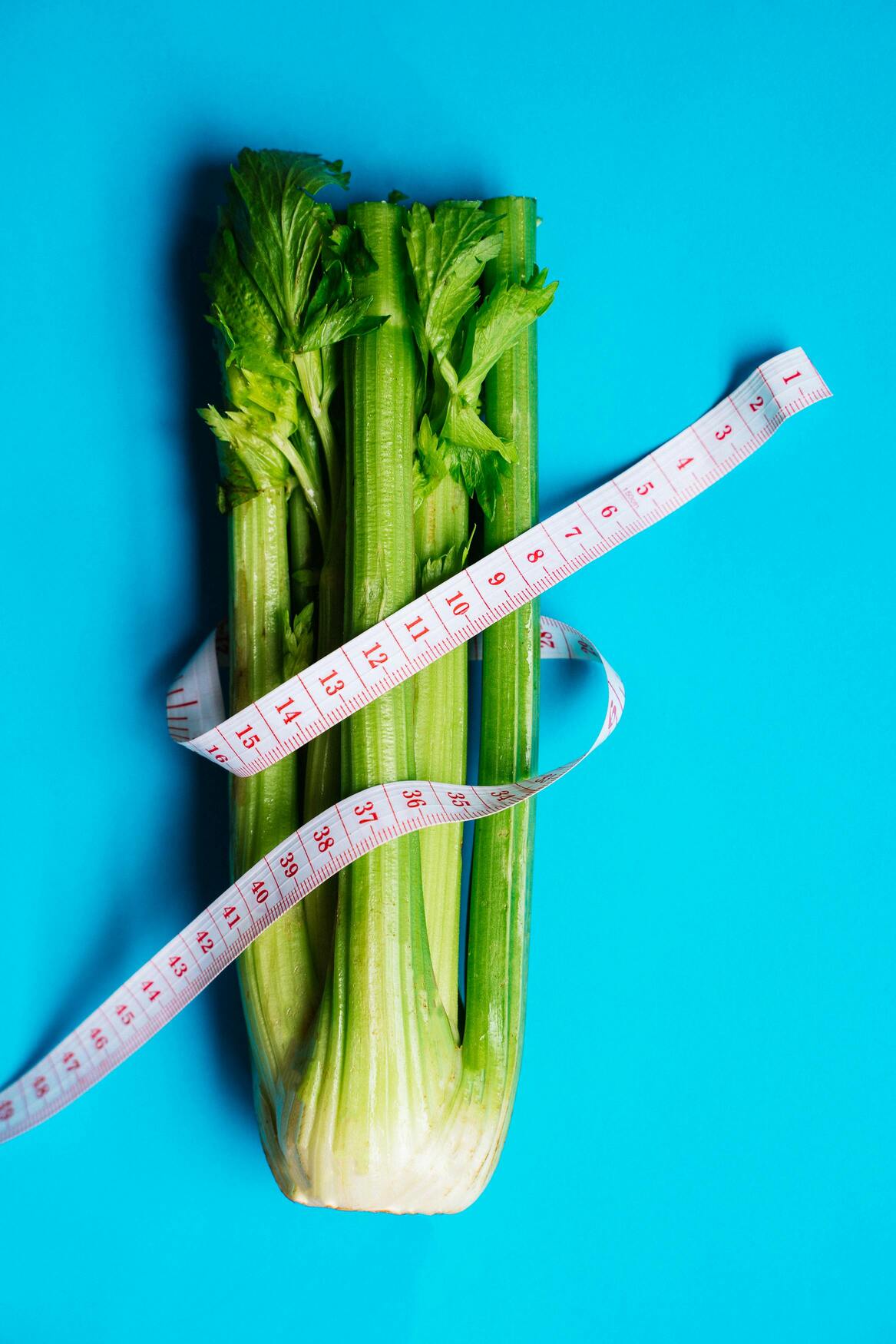 perte de poids en équilibrant son organisme